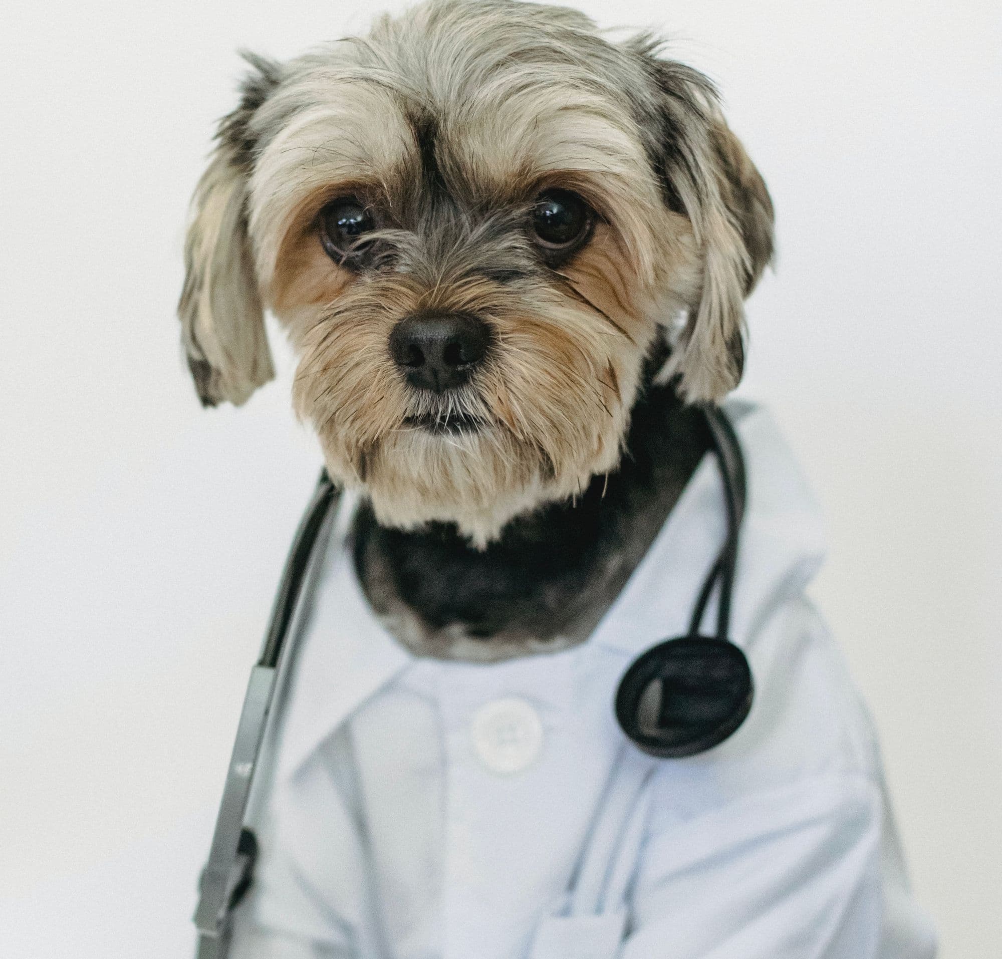 Why Your Doctor Brushes Off Your Menopause Symptoms